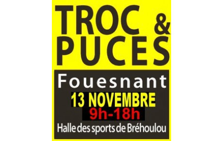 TROC &amp; PUCES : DIMANCHE 13 NOVEMBRE